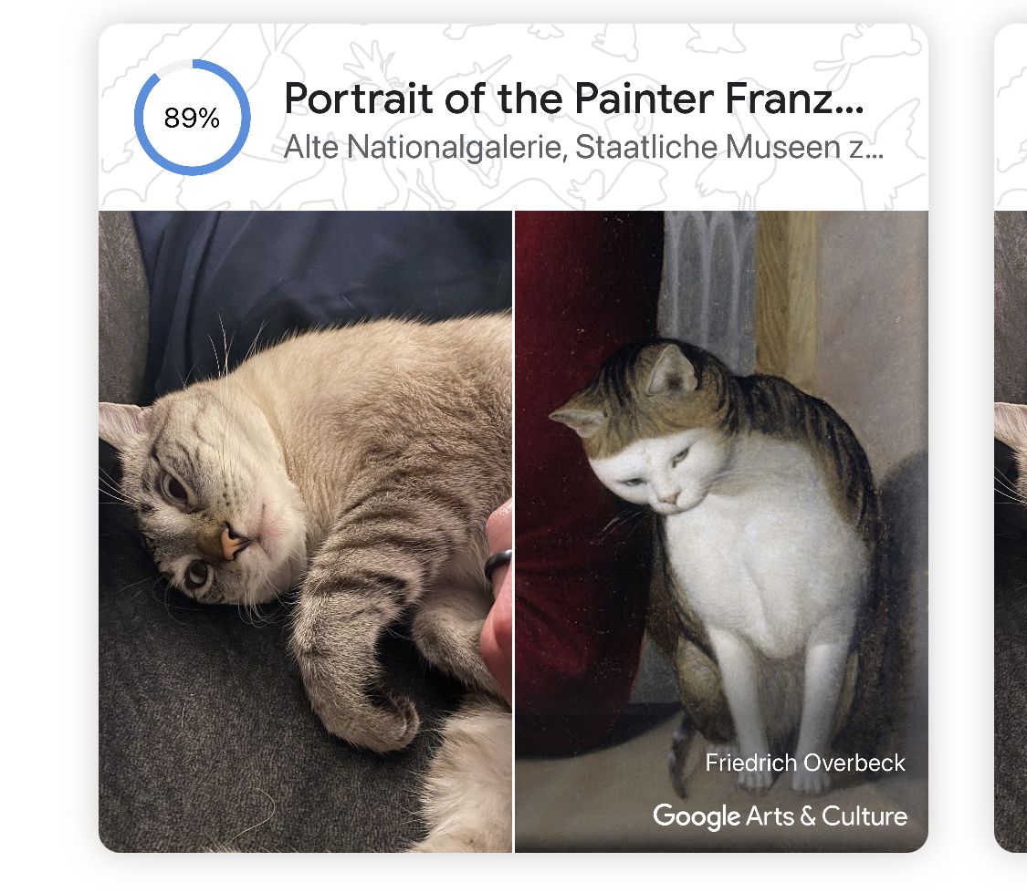 google arts culture kedvencünk